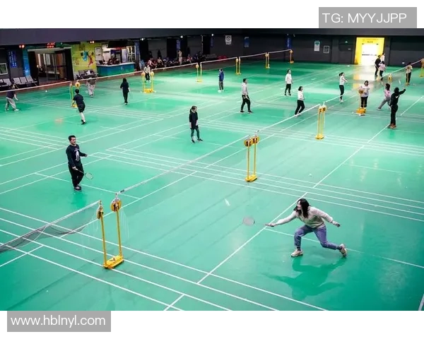 南京羽毛球队转型之路的得与失分析与展望